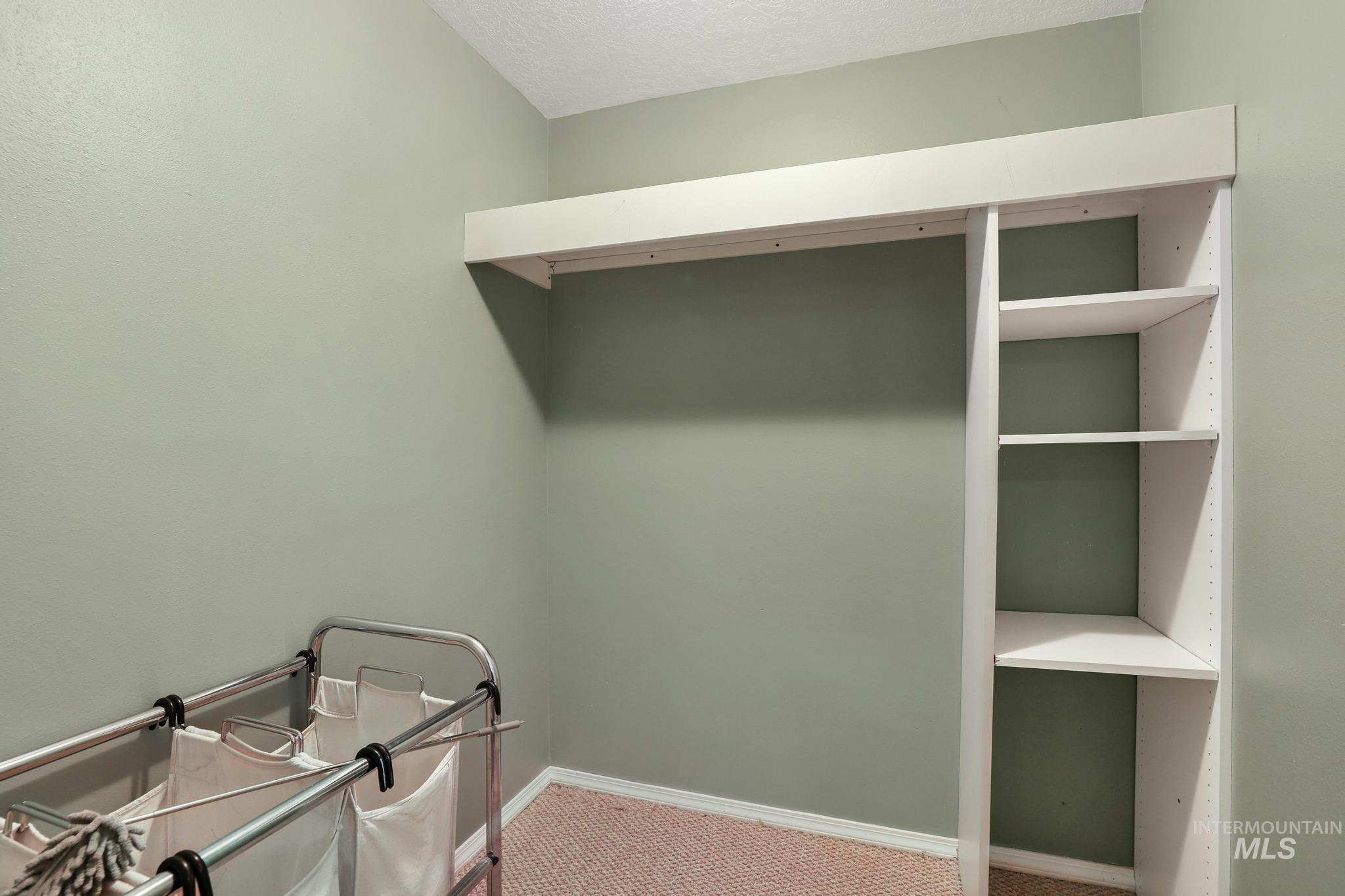 1143 Starfire Street Twin Falls, ID 83301 - Photo 17 of 32 Spacious closet featuring carpet
