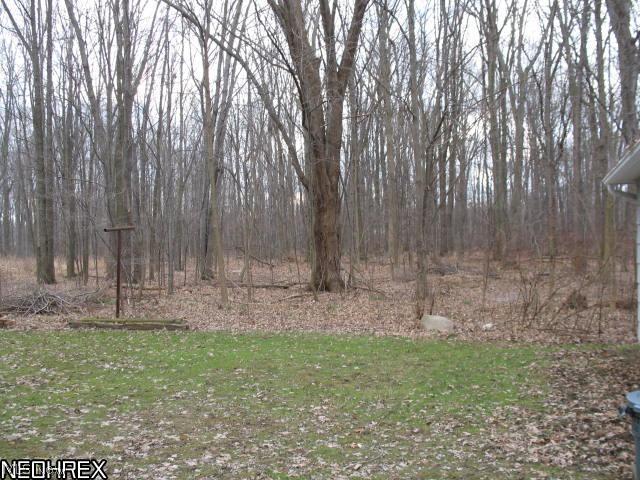 5407 Pleasant Avenue North Ridgeville, OH 44039 - Photo 17 of 17 Wooded and Treed lot