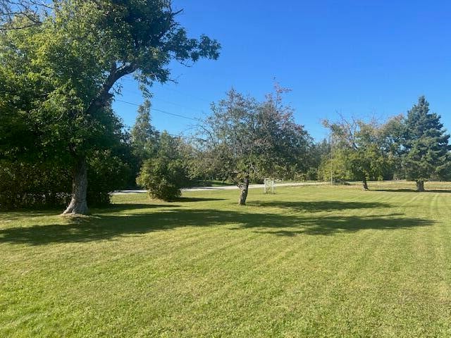 4721 Haken Road Alpena, MI 49707 - Photo 29 of 30 Front Yard 2