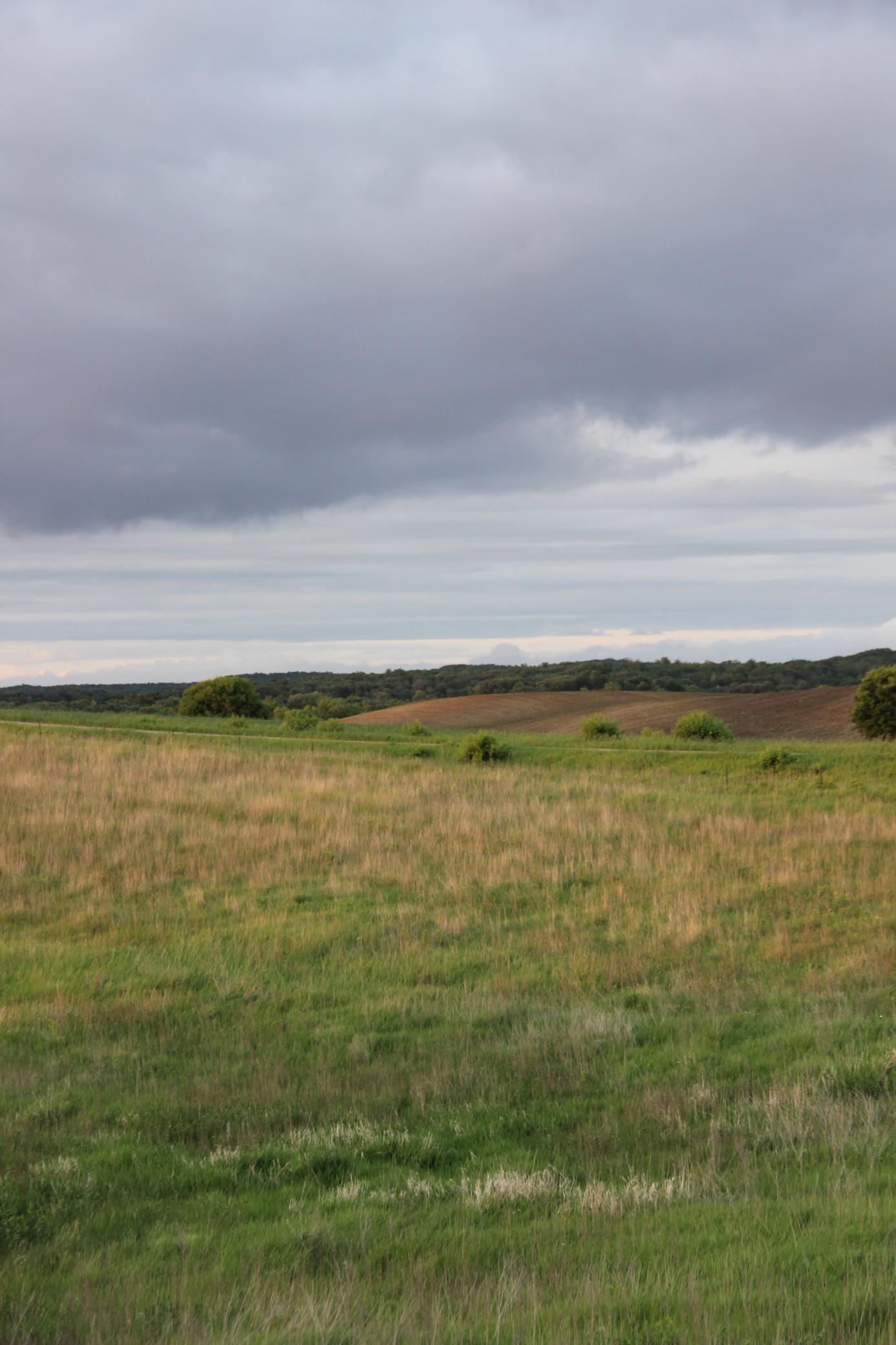 Tbd Norwegian Road Vining, MN 56588 - Photo 2 of 5