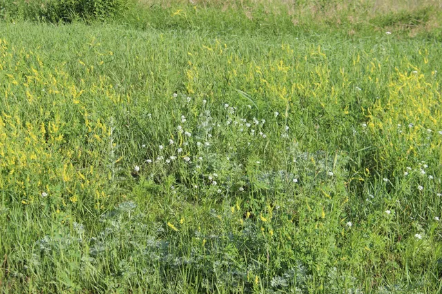 $69,900 | Tbd Norwegian Road, Vining, MN 56588