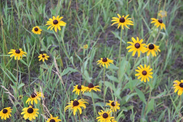 $69,900 | Tbd Norwegian Road, Vining, MN 56588