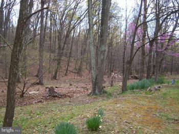 1470 Rock Gap Road Berkeley Springs, WV 25411 - Photo 2 of 26 View