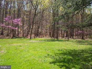1470 Rock Gap Road Berkeley Springs, WV 25411 - Photo 4 of 26 View