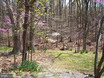 1470 Rock Gap Road Berkeley Springs, WV 25411 - Photo 8 of 26 View