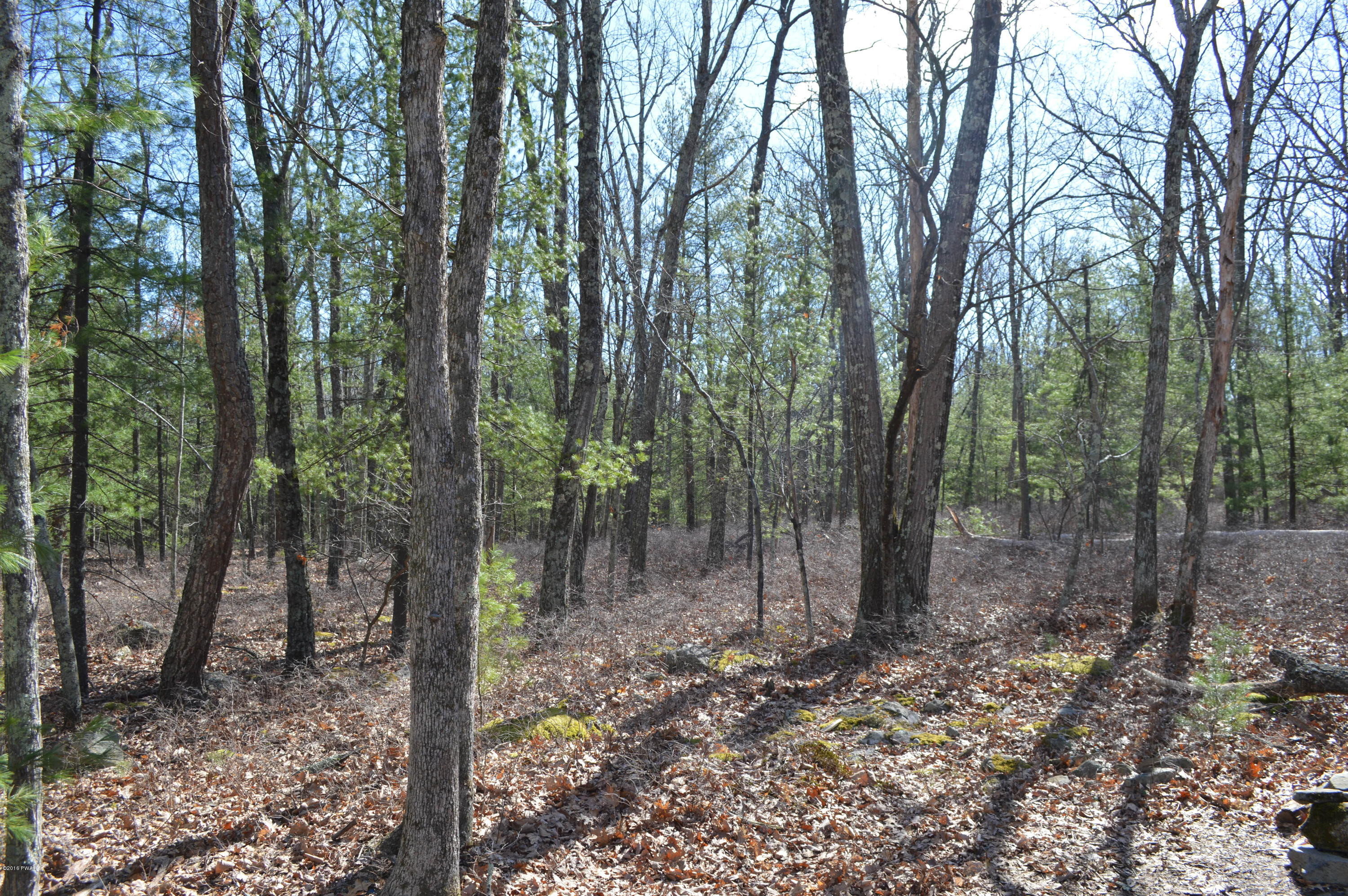 122 Rheingold Boulevard Hawley, PA 18428 - Photo 3 of 14 2 acres
