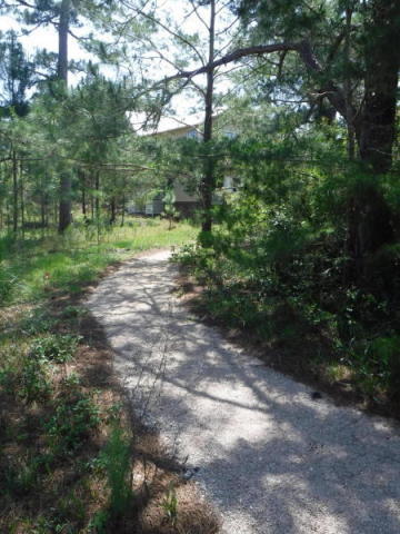 Lot 3 West Okeechobee Santa Rosa Beach Santa Rosa Beach, FL 32459 - Photo 7 of 8 a view of a yard with plants and large trees