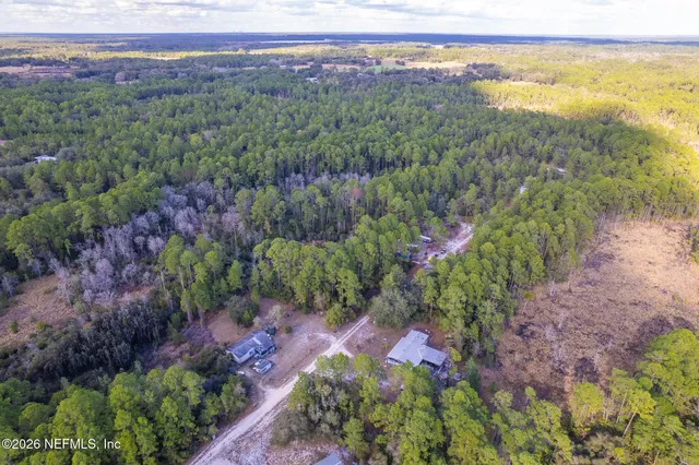 a picture of flowers