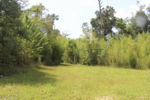 417 Lakepoint Road Alford, FL 32420 - Photo 11 of 12