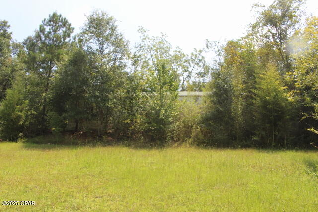 417 Lakepoint Road Alford, FL 32420 - Photo 12 of 12