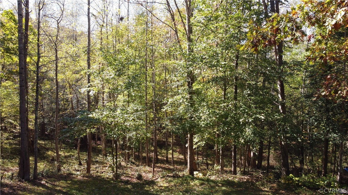 6506 Parrish Road Providence Forge, VA 23140 - Photo 5 of 50 Creek Runs through Property