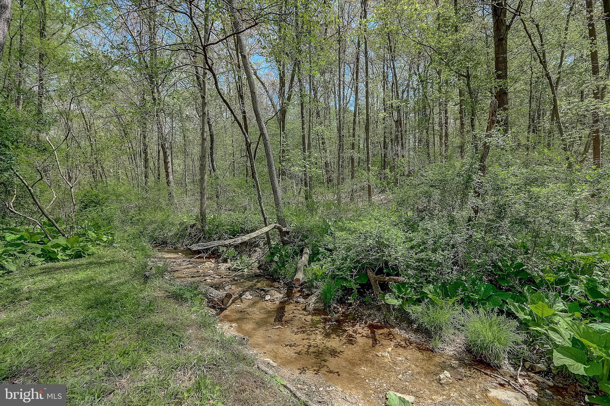 1505 Dulany Road Finksburg, MD 21048 - Photo 61 of 67 Gallery Image 61