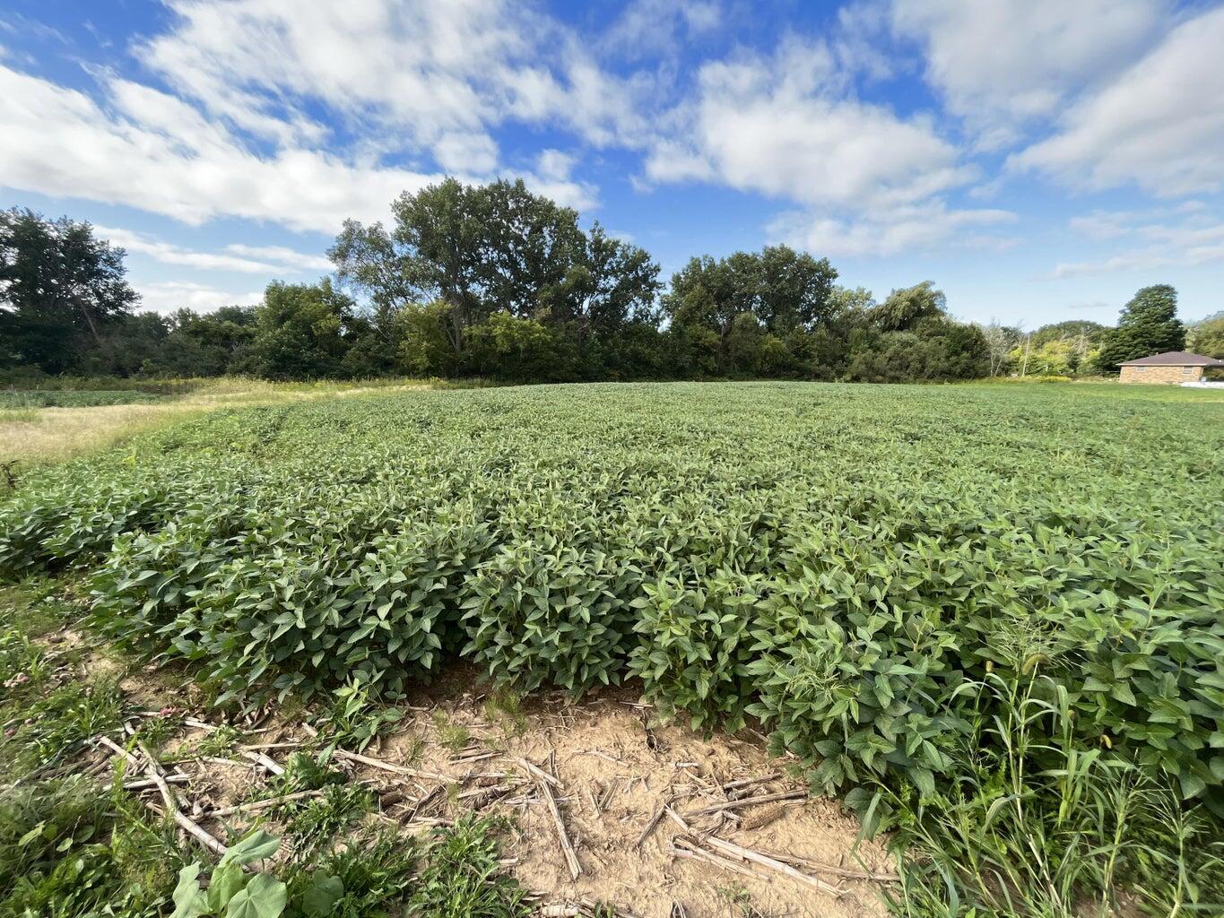 3431 East Fitzsimmons Road Oak Creek, WI 53154 - Photo 7 of 12 fitz 7