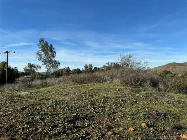 a view of a field with a tree
