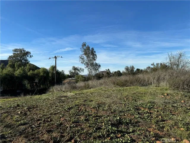 a view of a field of grass and trees