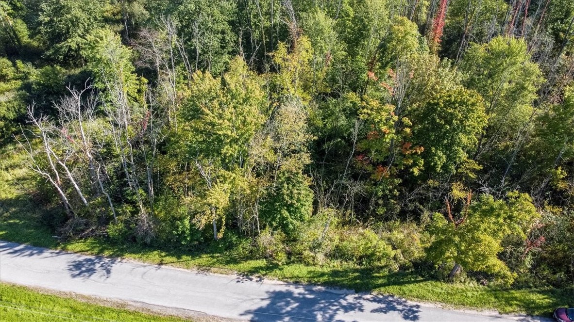 31 Old Rte 31 Clyde, NY 14433 - Photo 6 of 6