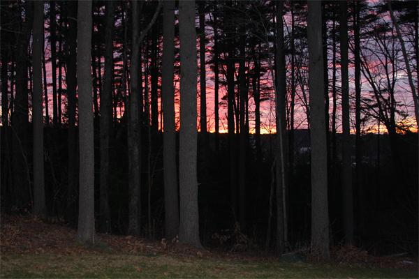 5 Sleigh Ride Lane Littleton, MA 01460 - Photo 18 of 18 Gallery Image 18
