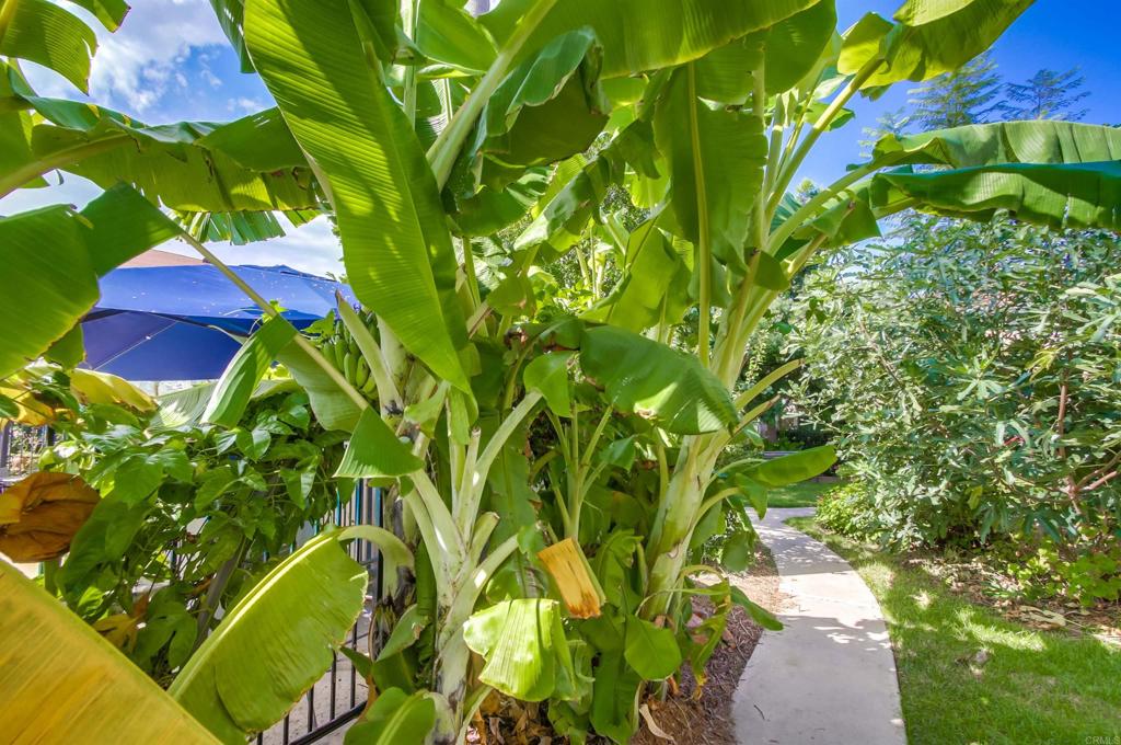 11187 Kelowna Road, Unit 76 Mira Mesa, CA 92126 - Photo 34 of 40