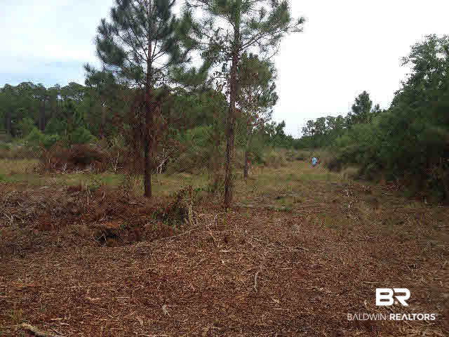0 Plash Road Gulf Shores, AL 36542 - Photo 5 of 7