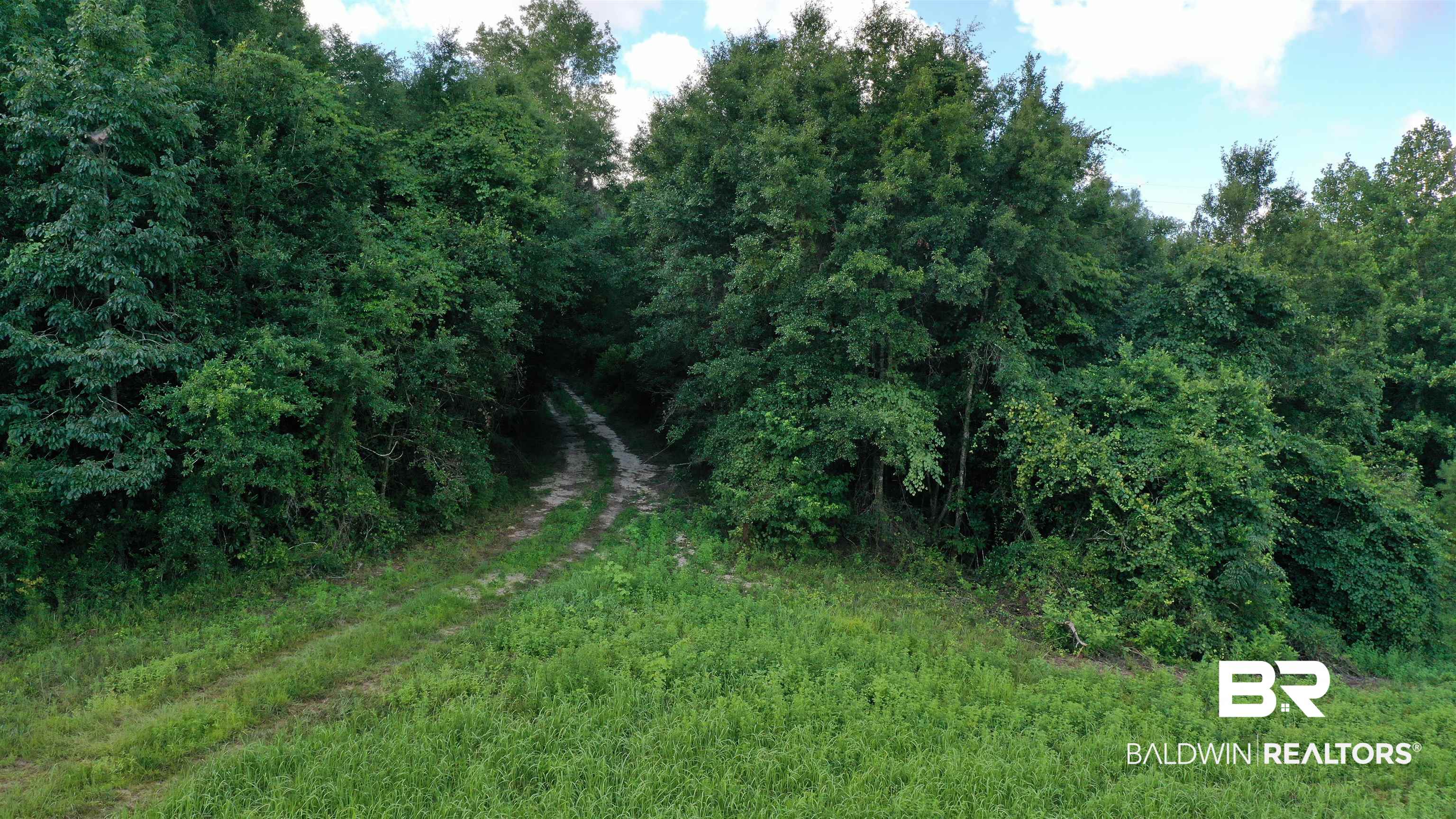 1 Highway 4 Jay, FL 32565 - Photo 21 of 50