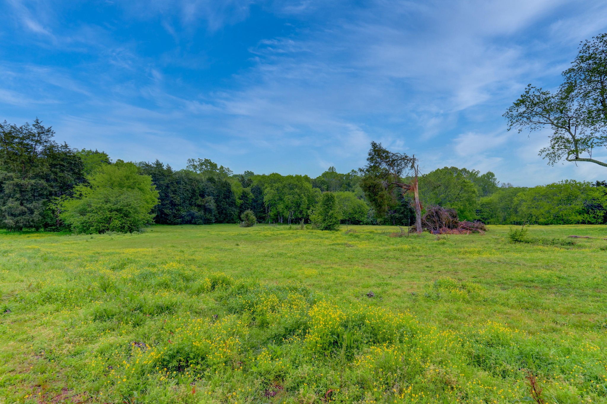 674 Cedar Grove Road Loudon, TN 37774 - Photo 21 of 23 Gallery Image 21