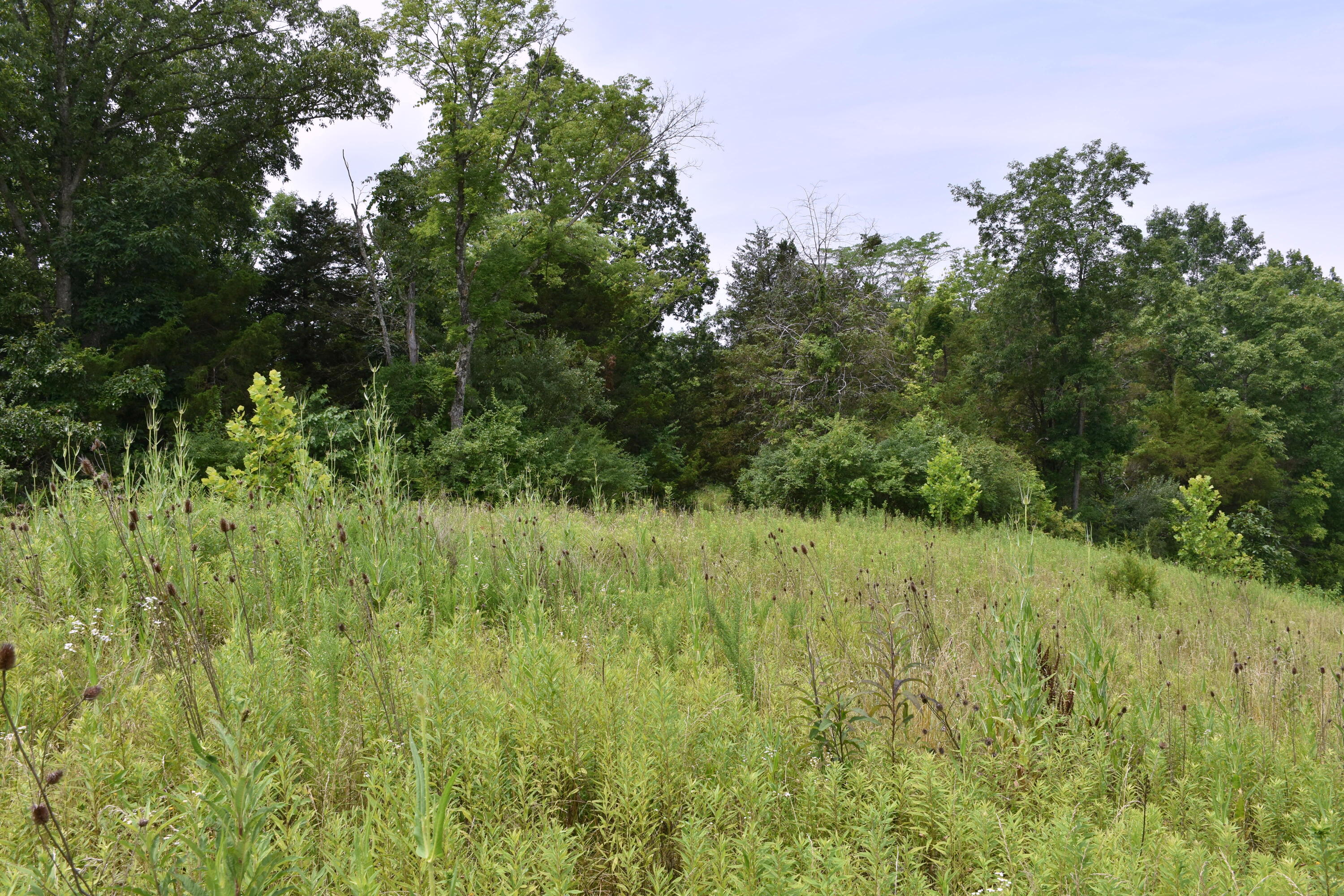 1540 Snag Creek Road Foster, KY 41043 - Photo 8 of 11
