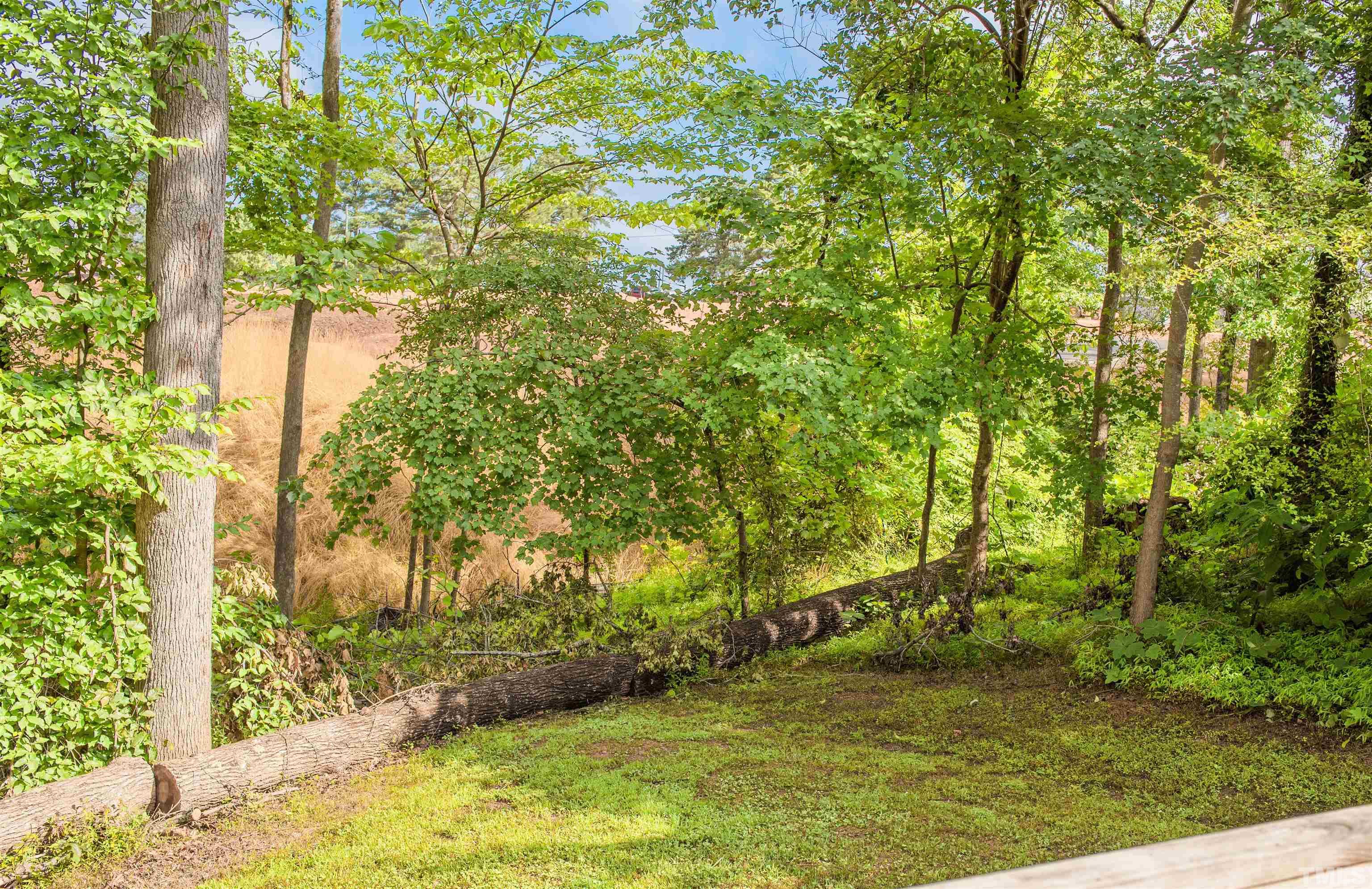 532 Cooper Street Clayton, NC 27520 - Photo 32 of 33