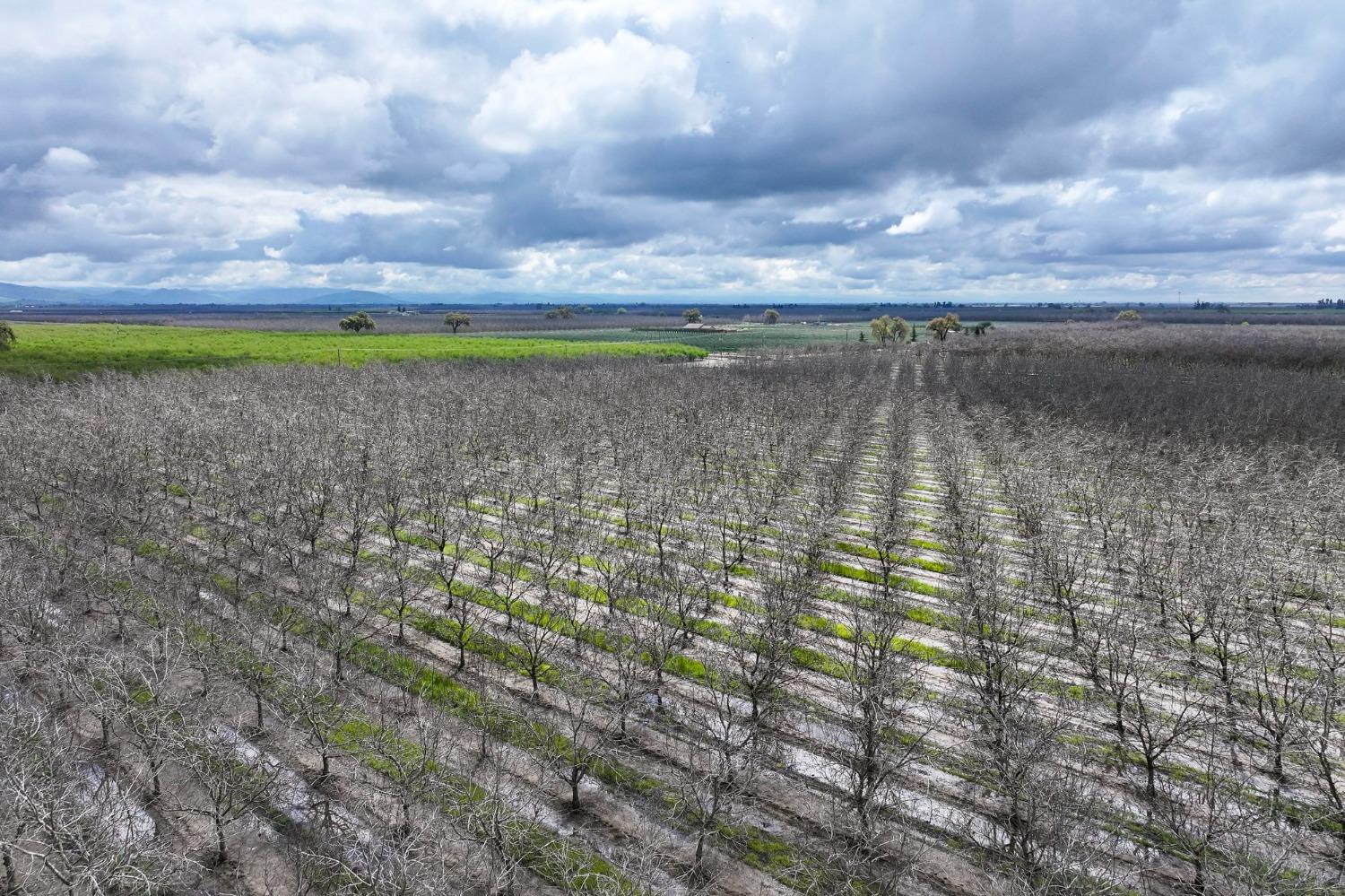 18000 Road 180 Strathmore, CA 93267 - Photo 3 of 12