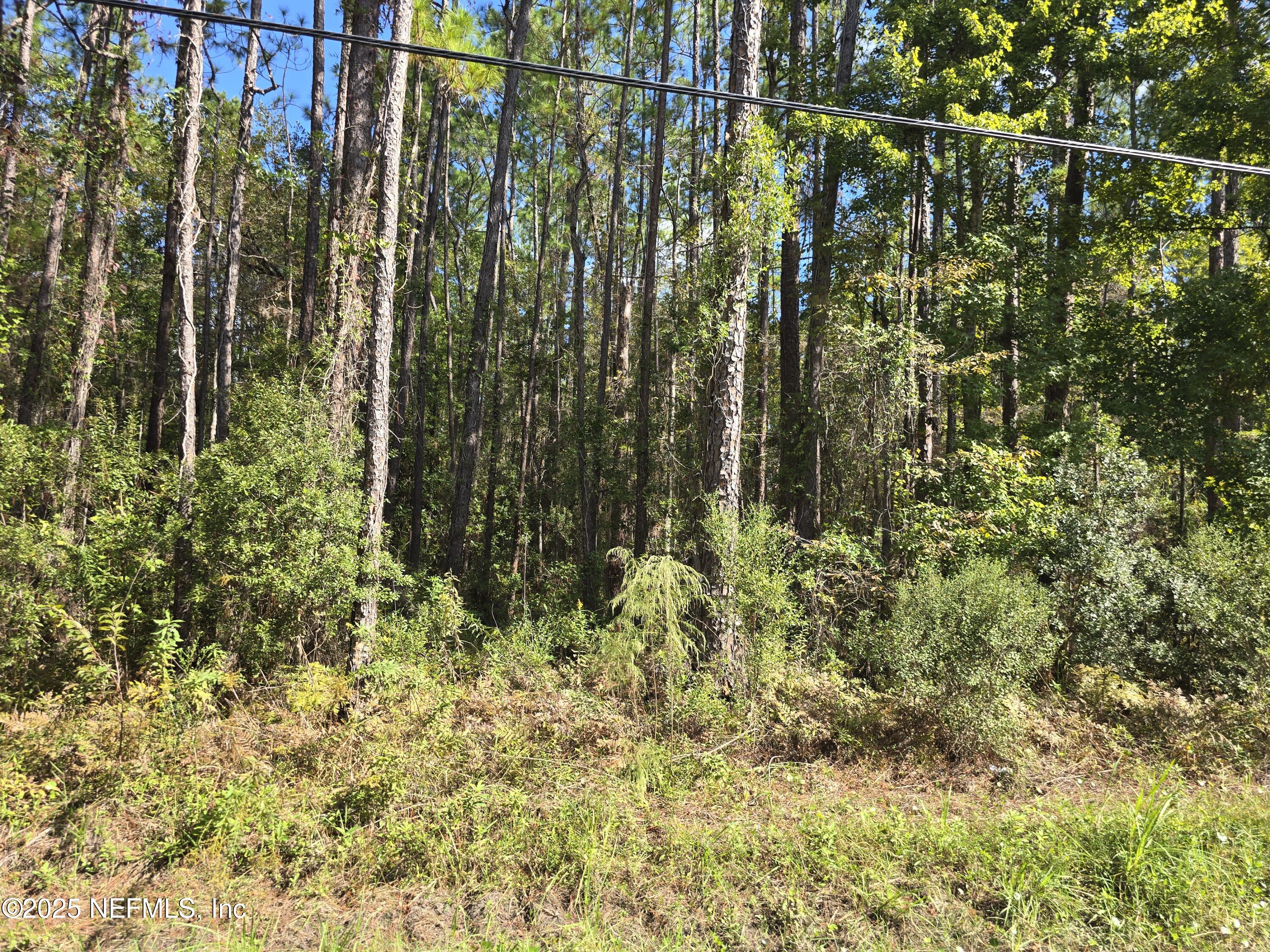 0 Mc Laurin Road East Jacksonville, FL 32256 - Photo 3 of 6 20251021_114750
