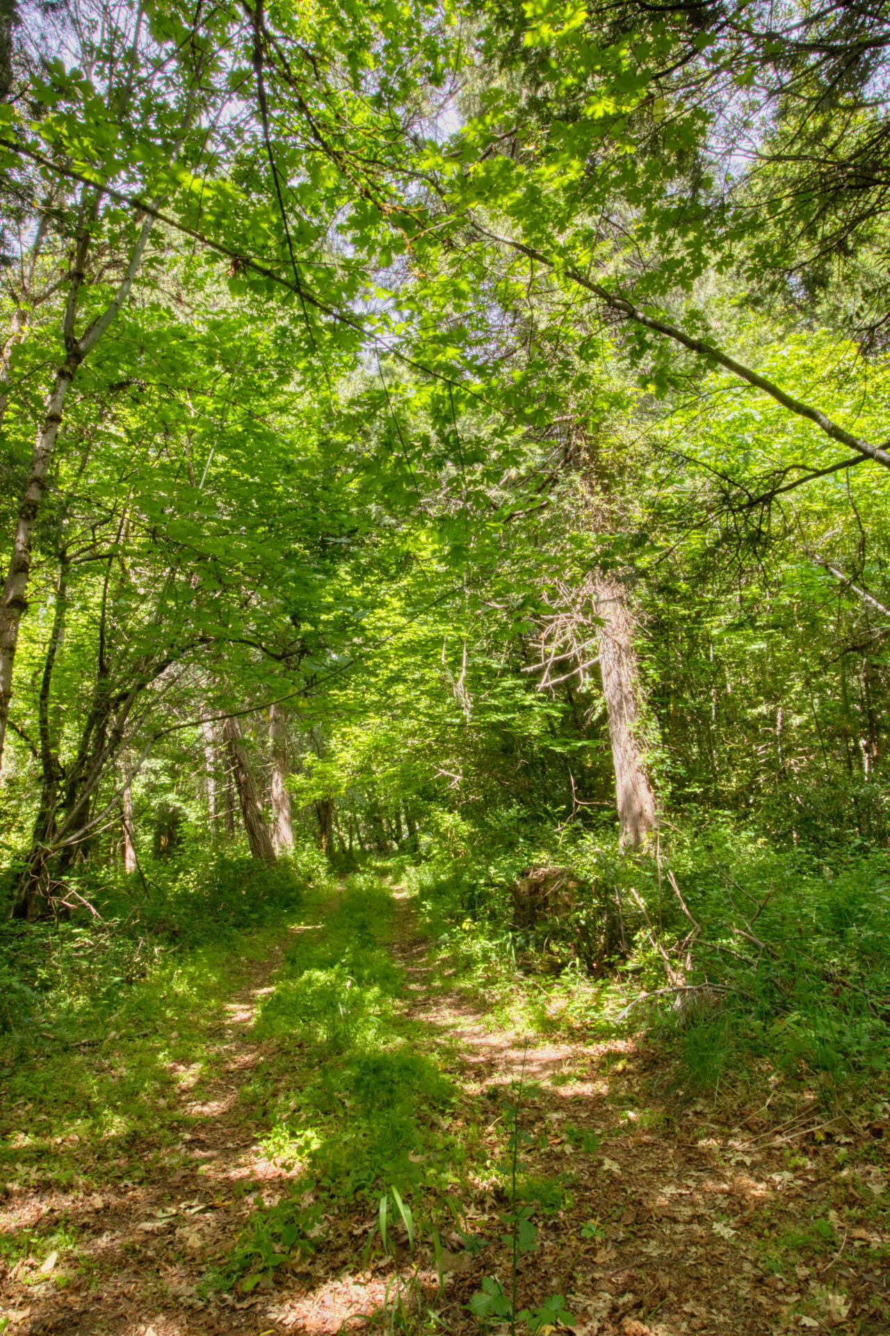 456 Garner Road Cave Junction, OR 97523 - Photo 4 of 10 456 Garner 10