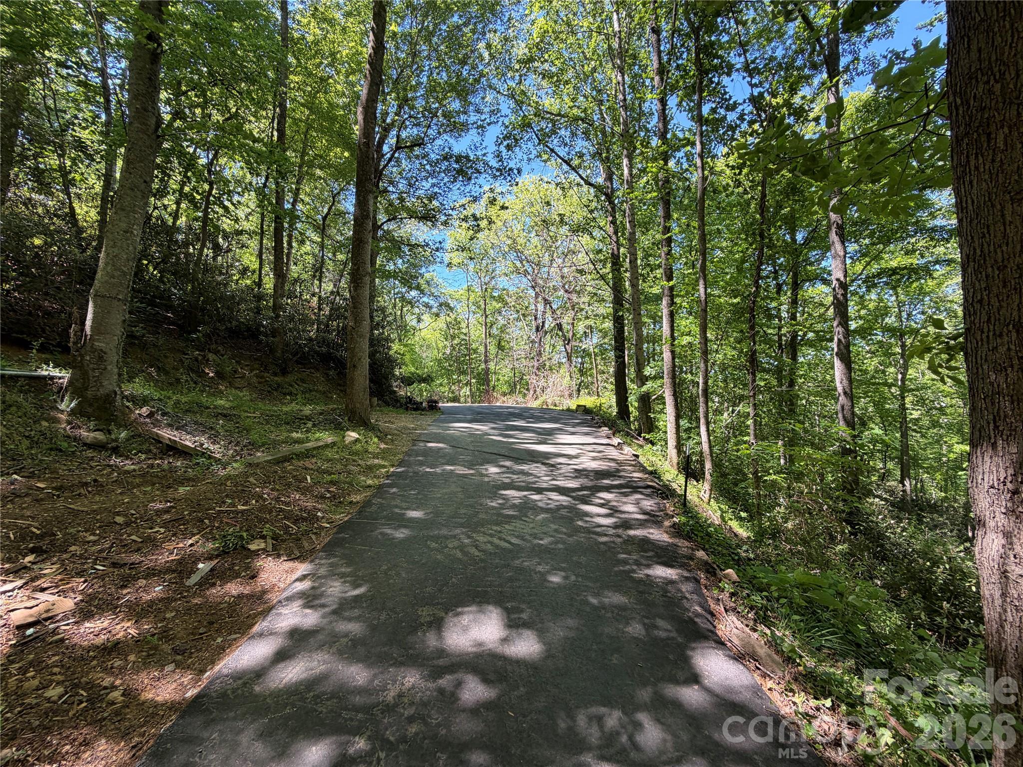25 Buck Ridge Road Fairview, NC 28730 - Photo 3 of 27 Gallery Image 3