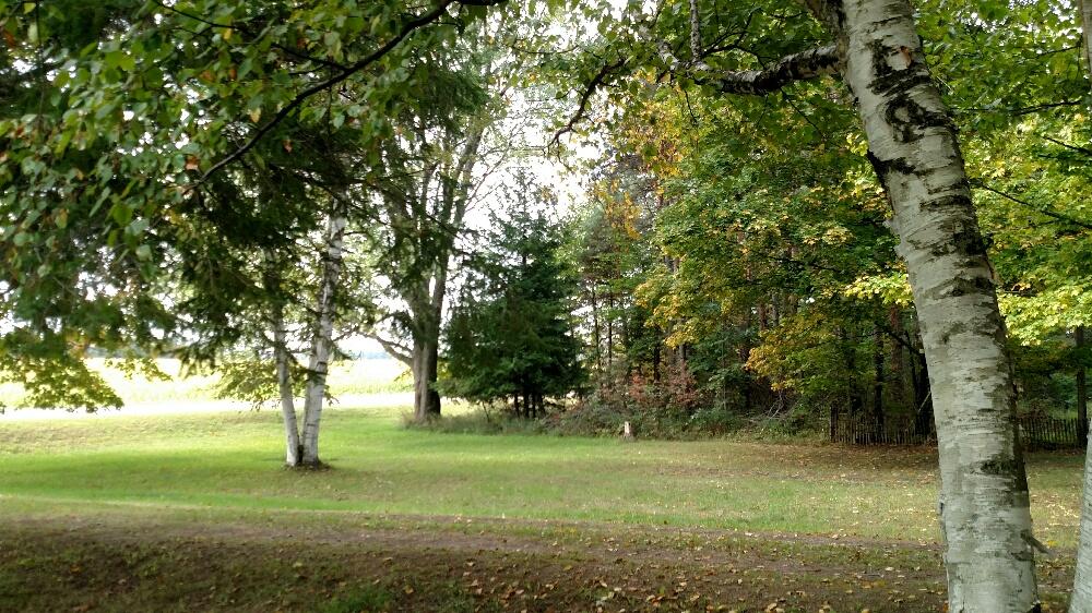 4070 Polish Line Road Cheboygan, MI 49721 - Photo 22 of 29 Gallery Image 22