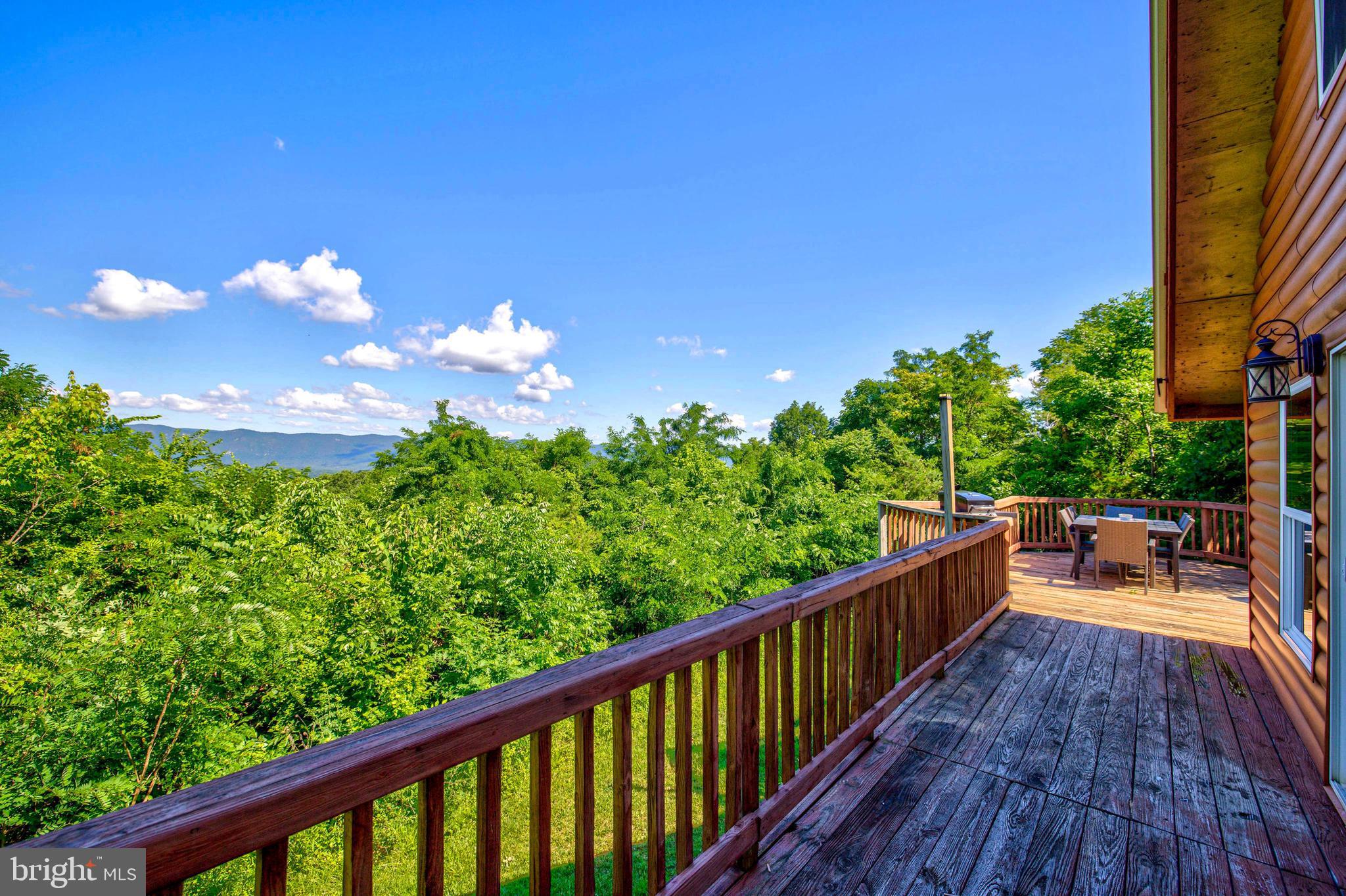 707 Overlook Drive Rileyville, VA 22650 - Photo 59 of 94