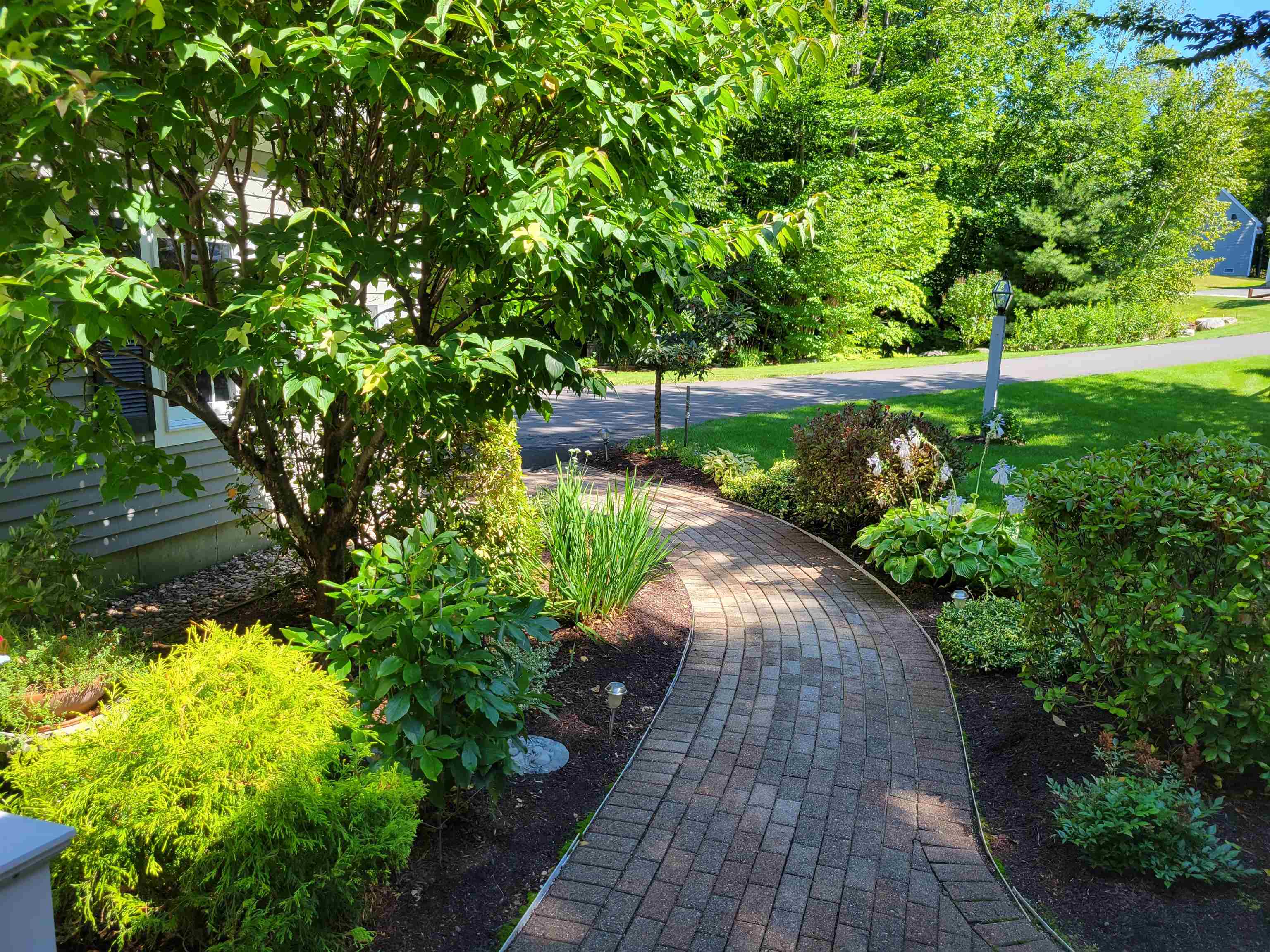 5 Cedar Drive Wolfeboro, NH 03894 - Photo 37 of 40