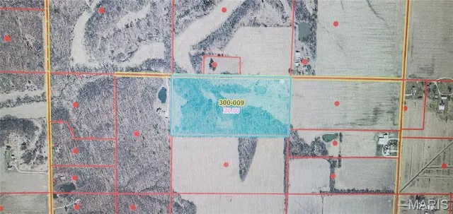 $139,000 | 0 Sec 20-7-1w, Vandalia, IL 62471