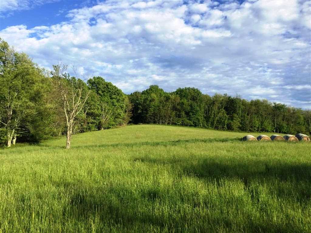1490 Summerdean Road Middlebrook, VA 24459 - Photo 1 of 32 a view of a lush green space