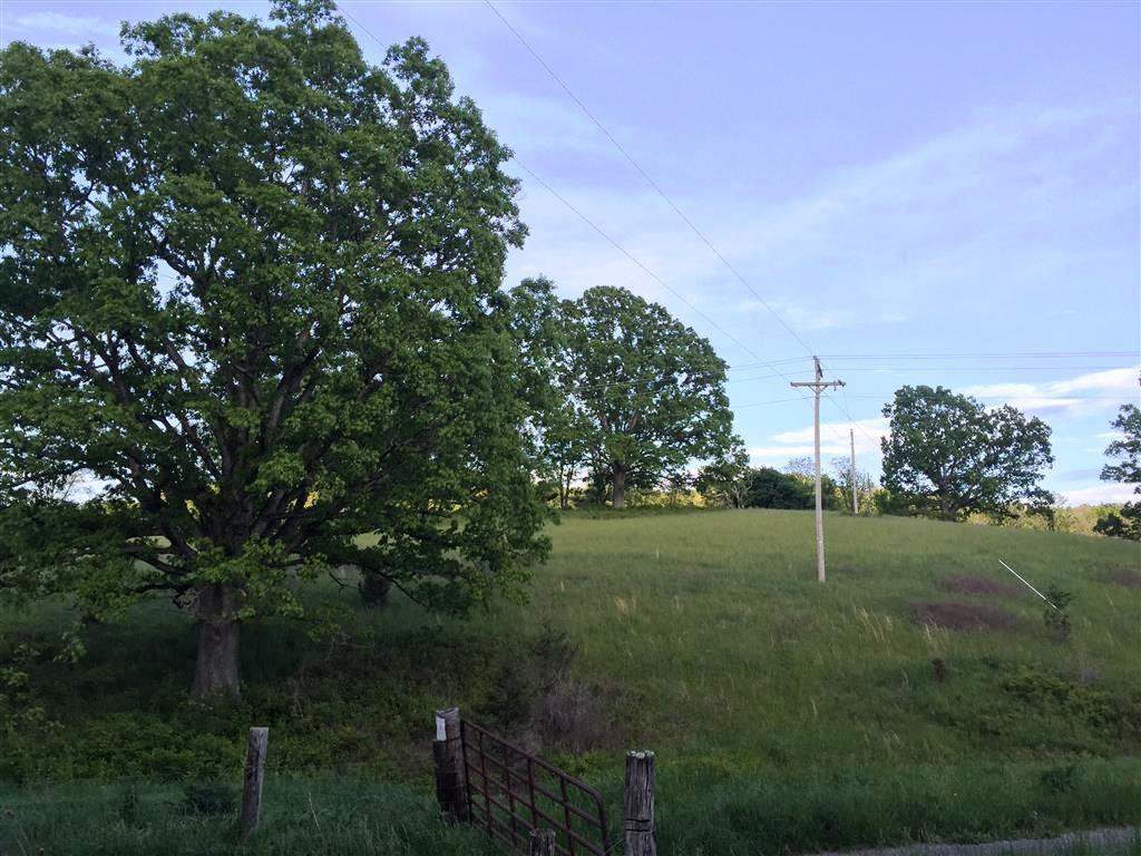 1490 Summerdean Road Middlebrook, VA 24459 - Photo 32 of 32 a view of a field with a tree