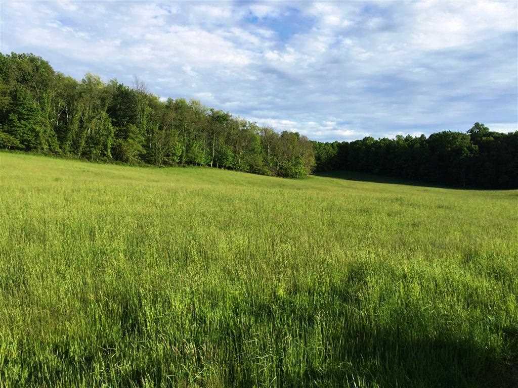 1490 Summerdean Road Middlebrook, VA 24459 - Photo 10 of 32 a view of an ocean