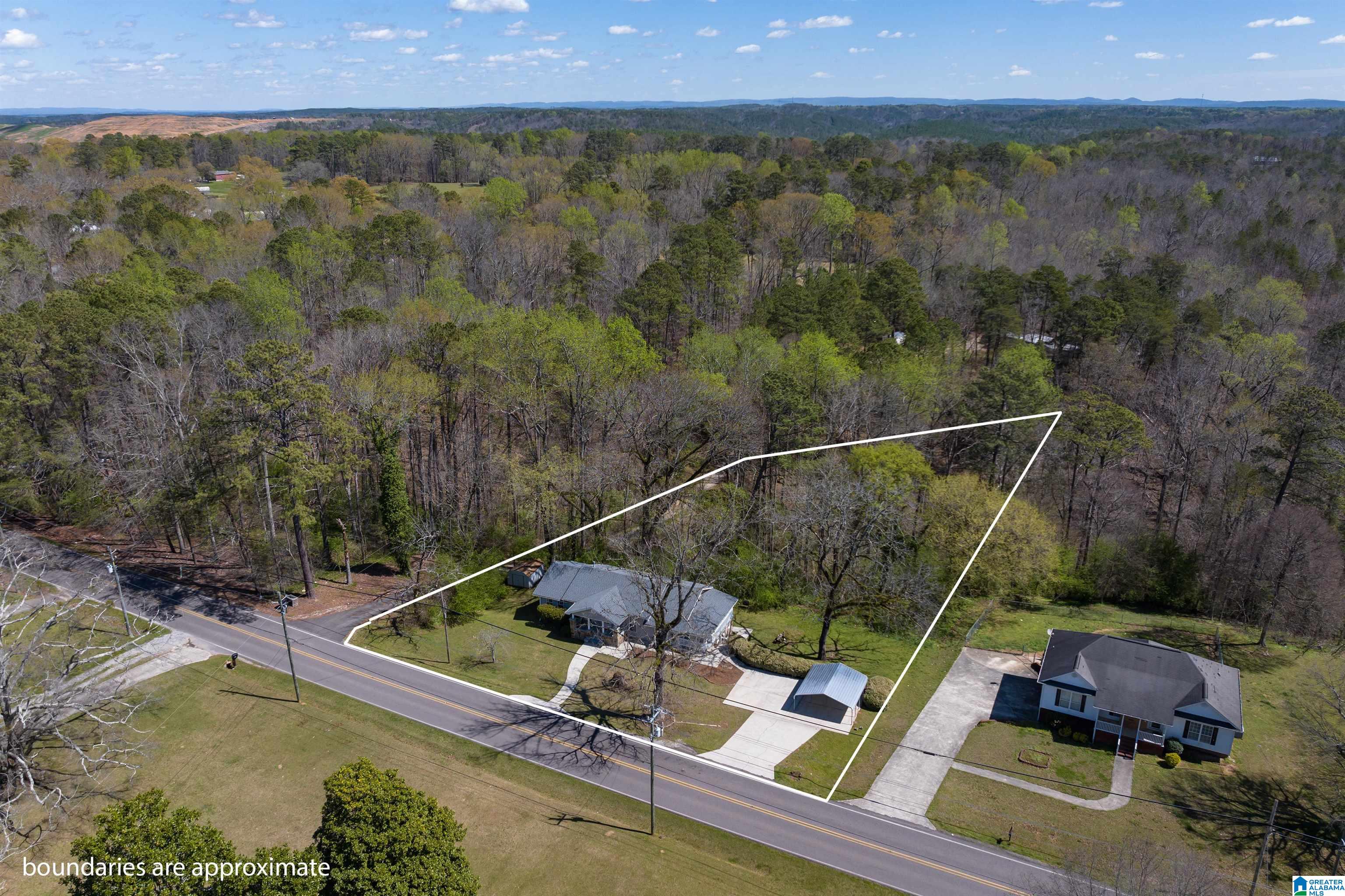 3645 Mt Olive Road Mount Olive, AL 35117 - Photo 4 of 42