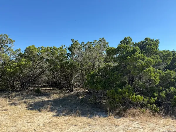 $52,000 | Lot 90 Deer Creek, Spring Branch, TX 78070