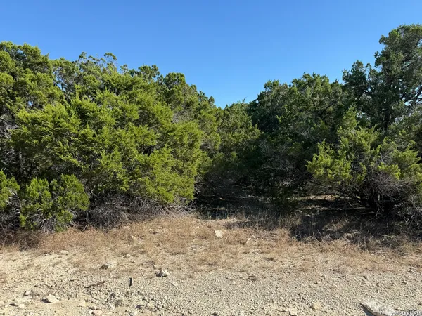 $52,000 | Lot 90 Deer Creek, Spring Branch, TX 78070