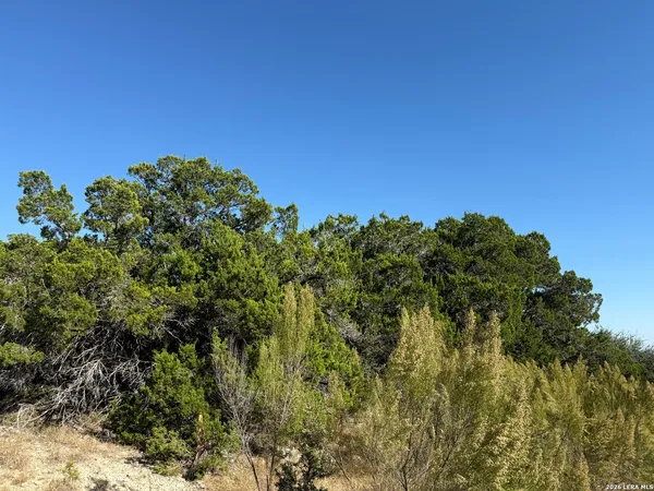 $52,000 | Lot 90 Deer Creek, Spring Branch, TX 78070