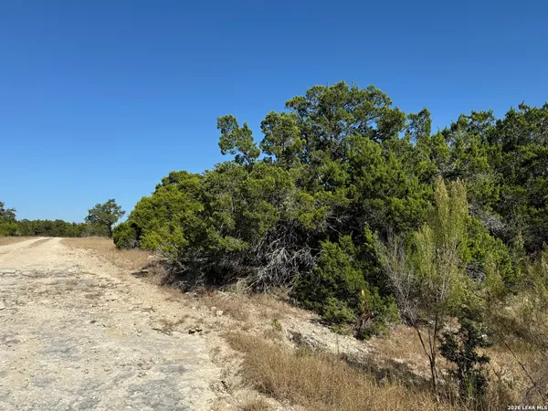 $52,000 | Lot 90 Deer Creek, Spring Branch, TX 78070