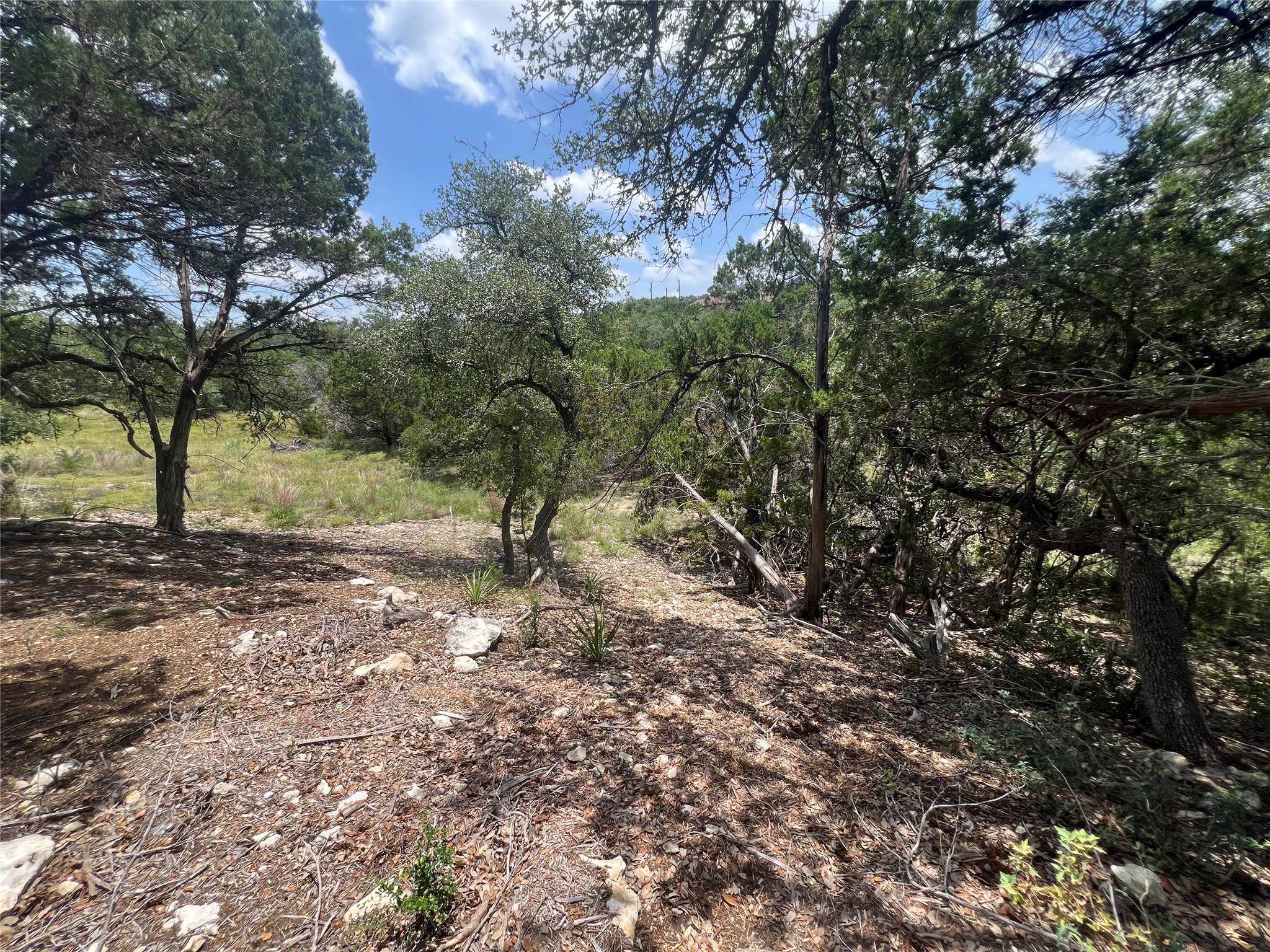 1252 Parton Road Canyon Lake, TX 78133 - Photo 8 of 11