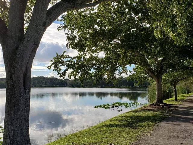 a view of a lake from a yard