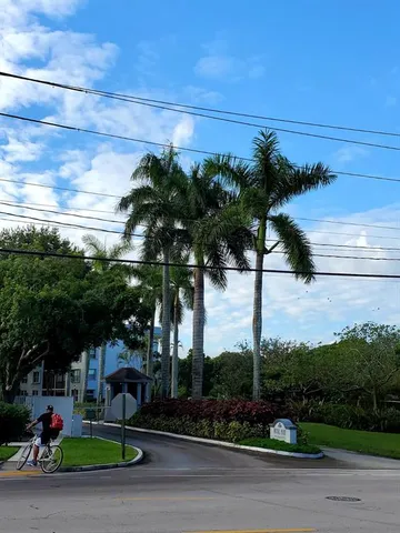 a view of a park with tree s