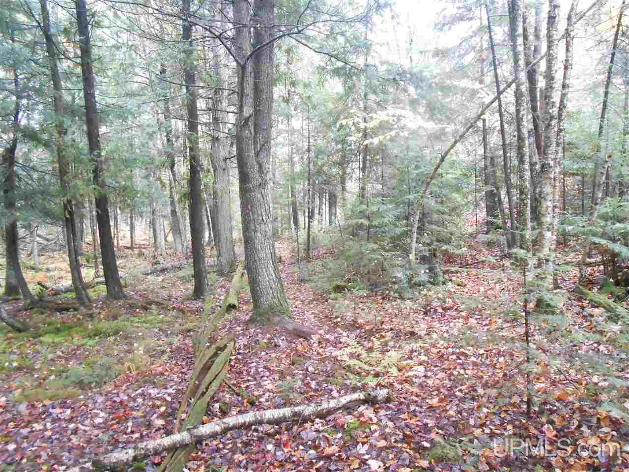 Tbd North Beatons Lake Road Bruce Crossing, MI 49912 - Photo 5 of 15