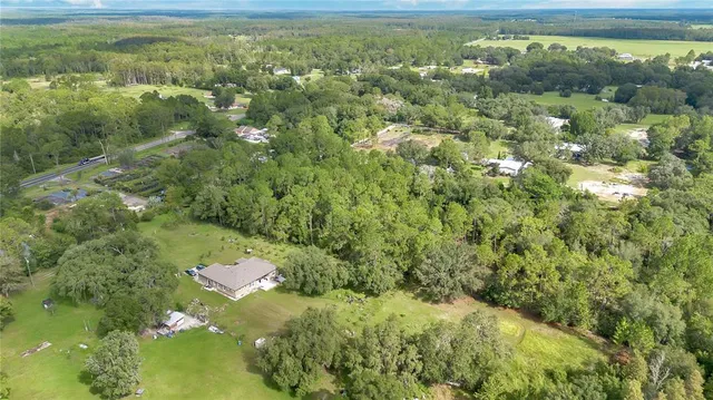 a view of a forest with a houses