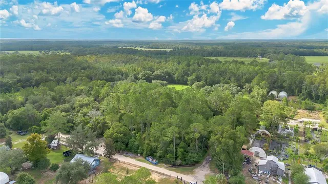 a view of a field with an ocean