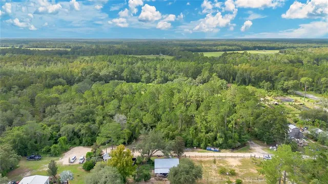a view of a garden with an outdoor space